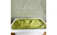 ＜9月発送＞ジェラート 大容量 業務用 2L 宇治抹茶チョコチップ
