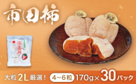 市田柿 (大粒2Lのみ厳選) 約170g×30パック　※2027年1月～発送予定※