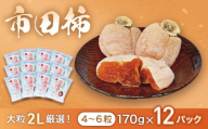 市田柿 (大粒2Lのみ厳選) 約170g×12パック　※2027年1月～発送予定※