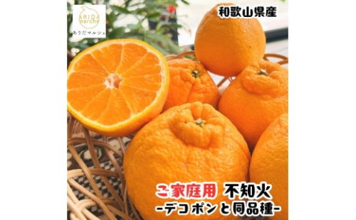 ［先行予約］有田育ちの濃厚 不知火 訳あり 家庭用  1kg ［MS144］ 2615504 - 和歌山県那智勝浦町