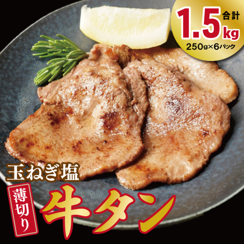 薄切り 特製玉ねぎ塩ダレ 牛タン1.5kg【精肉 牛タン 牛肉 焼肉用 薄切り 訳あり 小分け】 010B1956 2615559 - 大阪府泉佐野市