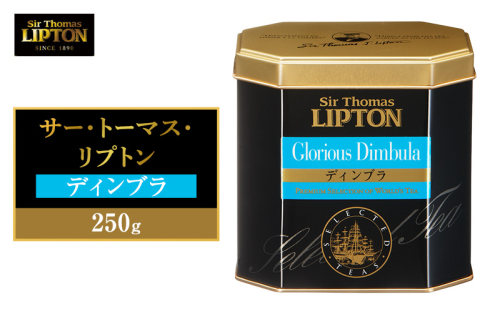 サー・トーマス・リプトン ディンブラ 250g 飲料 紅茶 ティー 茶葉 ディンブラ ブリスク リラックス リフレッシュ 2615717 - 静岡県森町