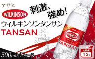 【定期便12か月】アサヒ 炭酸水 ウィルキンソンタンサン ペットボトル 500ml ×24本