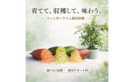 フィンガーライム栽培体験セット 初心者OK 植替え済 AIサポート＆マニュアル付き