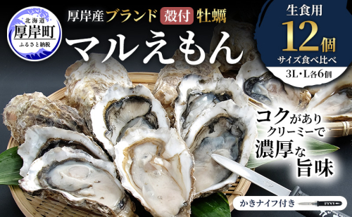 厚岸産 ブランド 殻付カキ マルえもん 生食用 サイズ食べ比べ 12個 (3L・L各6個)[ 魚貝類 生牡蠣 かき 牡蠣 カキ 生ガキ 食べ比べ ] 2615962 - 北海道厚岸町