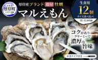 厚岸産 ブランド 殻付カキ マルえもん 生食用 サイズ食べ比べ 12個 (3L・L各6個)[ 魚貝類 生牡蠣 かき 牡蠣 カキ 生ガキ 食べ比べ ]