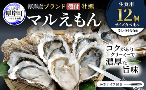 厚岸産 ブランド 殻付カキ マルえもん 生食用 サイズ食べ比べ 12個 (3L・M各6個)[ 魚貝類 生牡蠣 かき 牡蠣 カキ 生ガキ 食べ比べ ] 2615963 - 北海道厚岸町