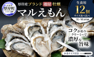 厚岸産 ブランド 殻付カキ マルえもん 生食用 サイズ食べ比べ 12個 (3L・M各6個)[ 魚貝類 生牡蠣 かき 牡蠣 カキ 生ガキ 食べ比べ ]