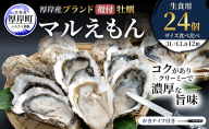 厚岸産 ブランド 殻付カキ マルえもん 生食用 サイズ食べ比べ 24個 (3L・LL各12個)[ 魚貝類 生牡蠣 かき 牡蠣 カキ 生ガキ 食べ比べ ]