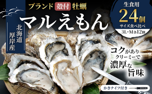 厚岸産 ブランド 殻付カキ マルえもん 生食用 サイズ食べ比べ 24個 (3L・M各12個)[ 魚貝類 生牡蠣 かき 牡蠣 カキ 生ガキ 食べ比べ ] 2615966 - 北海道厚岸町