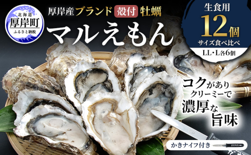 厚岸産 ブランド 殻付カキ マルえもん 生食用 サイズ食べ比べ 12個 (LL・L各6個)[ 魚貝類 生牡蠣 かき 牡蠣 カキ 生ガキ 食べ比べ ] 2615967 - 北海道厚岸町