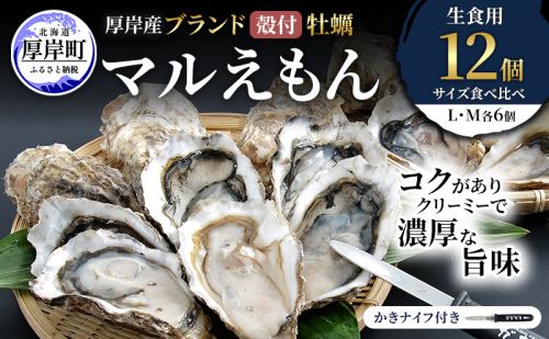 厚岸産 ブランド 殻付カキ マルえもん 生食用 サイズ食べ比べ 12個 (L・M各6個)[ 魚貝類 生牡蠣 かき 牡蠣 カキ 生ガキ 食べ比べ ] 2615969 - 北海道厚岸町