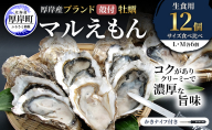 厚岸産 ブランド 殻付カキ マルえもん 生食用 サイズ食べ比べ 12個 (L・M各6個)[ 魚貝類 生牡蠣 かき 牡蠣 カキ 生ガキ 食べ比べ ]