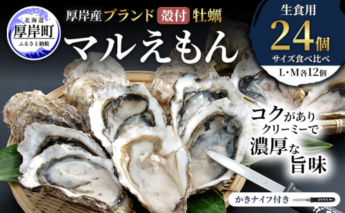 厚岸産 ブランド 殻付カキ マルえもん 生食用 サイズ食べ比べ 24個 (L・M各12個)[ 魚貝類 生牡蠣 かき 牡蠣 カキ 生ガキ 食べ比べ ] 2615976 - 北海道厚岸町