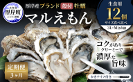 【 3ヵ月 定期便 】 厚岸産 ブランド 殻付カキ マルえもん 生食用 サイズ食べ比べ 12個 (3L・M各6個)[ 魚貝類 生牡蠣 かき 牡蠣 カキ 生ガキ 食べ比べ ]