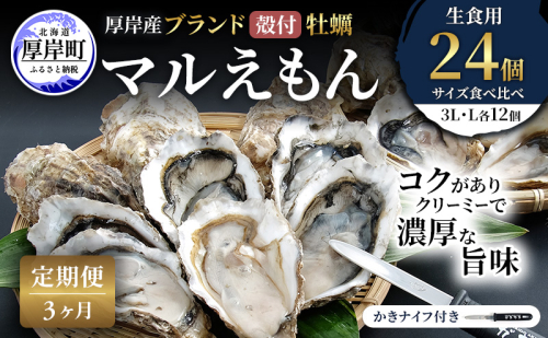 【 3ヵ月 定期便 】 厚岸産 ブランド 殻付カキ マルえもん 生食用 サイズ食べ比べ 24個 (3L・L各12個)[ 魚貝類 生牡蠣 かき 牡蠣 カキ 生ガキ 食べ比べ ] 2616007 - 北海道厚岸町