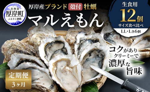 【 3ヵ月 定期便 】 厚岸産 ブランド 殻付カキ マルえもん 生食用 サイズ食べ比べ 12個 (LL・L各6個)[ 魚貝類 生牡蠣 かき 牡蠣 カキ 生ガキ 食べ比べ ] 2616009 - 北海道厚岸町
