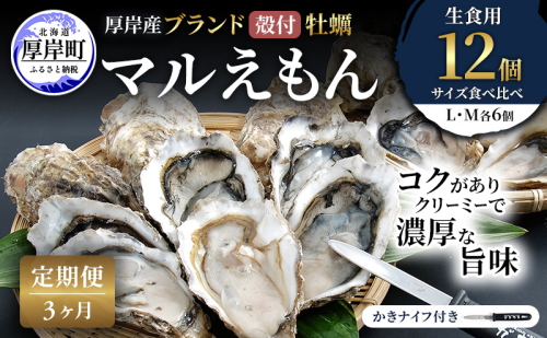 【 3ヵ月 定期便 】 厚岸産 ブランド 殻付カキ マルえもん 生食用 サイズ食べ比べ 12個 (L・M各6個)[ 魚貝類 生牡蠣 かき 牡蠣 カキ 生ガキ 食べ比べ ] 2616011 - 北海道厚岸町