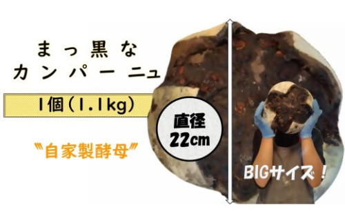 自家製天然酵母を使ったまっ黒チョコのカンパーニュ　【HTR-01】 2616025 - 三重県多気町
