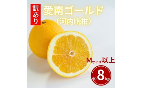 【ふるさと納税】 先行予約 訳あり  愛南ゴールド 約8kg  Mサイズ以上 河内晩柑 柑橘 フルーツ 果物 蜜柑 みかん くだもの 家庭用 傷 不揃い  サイズミックス かわち ばんかん 和製 グレープフルーツ デザート甘い ジューシー 特産品 国産 農園 直送 愛媛県 愛南町 和家農園 2616050 - 愛媛県愛南町