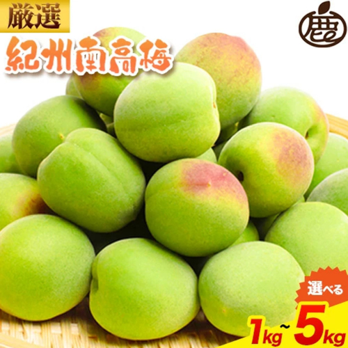 厳選 紀州南高梅 選べる 約1kg 約2kg 約5kg 傷み補償 梅干し 梅酒 梅ジュース 池田鹿蔵農園《6月上旬-6月末頃出荷予定》和歌山県 日高町 南高梅 完熟 青梅 送料無料【配送不可地域あり】 2616052 - 和歌山県日高町