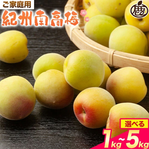 家庭用 紀州南高梅 選べる 約1kg 約2kg 約3kg 約5kg 梅干し 梅酒 梅ジュース 池田鹿蔵農園《6月上旬-6月末頃出荷予定》和歌山県 日高町 南高梅 完熟 青梅 送料無料【配送不可地域あり】 2616053 - 和歌山県日高町
