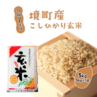 【令和7年産】米 玄米 コシヒカリ 5kg(5kg×1袋) 国産 ご飯 茨城県 境町産 人気 S278