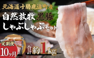 【定期10ヶ月】鹿追産 自然放牧黒豚しゃぶしゃぶセット 【 ふるさと納税 人気 おすすめ ランキング 黒豚 豚肉 肉 ポーク 黒豚肉 黒豚ロース 黒豚肩ロース 黒豚バラ肉 しゃぶしゃぶ 北海道 鹿追町 送料無料 】 SKN030