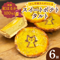 国産紅はるか100％使用 干し芋屋のスイートポテトタルト【紅はるか 芋 いも イモ おやつ タルト サツマイモ】 099H4535