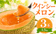 メロン クインシーメロン 3玉 計4.5kg 【 2026年 発送】 赤肉 赤肉メロン めろん meron melon 国産 フルーツ 果物 くだもの デザート 旬 青果 新鮮 ギフト プレゼント 産地直送 お取り寄せ 茨城県 鉾田市 メロンの村田 mmr020