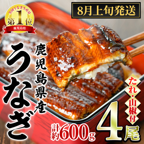 【0204348a-2608】＜8月上旬発送予定＞東串良町のうなぎ蒲焼(無頭)(4尾・計約600g・タレ、山椒付) うなぎ 高級 ウナギ 鰻 国産 蒲焼 蒲焼き たれ 鹿児島 ふるさと 人気 【アクアおおすみ】 2616177 - 鹿児島県東串良町