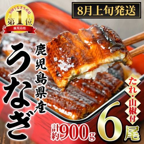 【0304349a-2608】＜8月上旬発送予定＞東串良町のうなぎ蒲焼(無頭)(6尾・計約900g・タレ、山椒付) うなぎ 高級 ウナギ 鰻 国産 蒲焼 蒲焼き たれ 鹿児島 ふるさと 人気 【アクアおおすみ】 2616180 - 鹿児島県東串良町