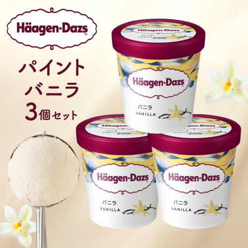 ハーゲンダッツ パイントバニラ3個セット アイス スイーツ デザート_H0026-109 2616198 - 北海道浜中町