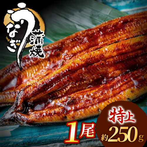 ZI369.うなぎ蒲焼き1尾セット（約250g×1尾） 2616203 - 福岡県新宮町