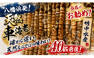 八幡浜発!竹中水産の「天然車海老中ぶりで40匹前後」＜H22-222＞【1047025】 YWTM040