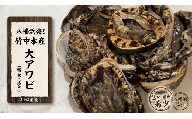 竹中水産の嗜好の大型アワビ(2㎏前後)!＜H22-230＞【1060854】 YWTM048