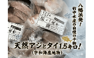 竹中水産の「匠の一夜干し」選りすぐり人気の2種!(真鯛と真あじ)計約1.5キロ＜D22-233＞【1070933】 YWTM051