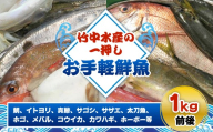 竹中水産の一押し「お手軽鮮魚」1キロ前後＜C22-235＞【1073396】 YWTM053