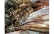 竹中水産の「豪華鮮魚ボックス約4キロ」!＜H22-234＞【1070934】 YWTM052