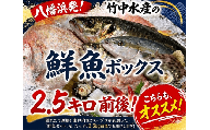 竹中水産の一押し「お任せ鮮魚!」2.5キロ前後＜G22-237＞【1073398】 YWTM055