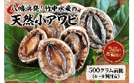 竹中水産の天然小アワビ、殻付きのままでバター焼き500g前後(4～8個目安)＜D22-246＞_鮑 あわび アワビ 活きあわび 魚介 魚介類 海鮮 天然 活き 鮮魚 小ぶり 食べやすい バター焼き 冷蔵  BBQ 殻付 【1073903】 YWTM064