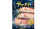 竹中水産の「甘鯛(赤又は白)1.5キロ前後」＜H22-261＞_鯛 タイ たい 甘鯛 鮮魚 天然 魚介 魚介類 海鮮 冷蔵 活き 愛媛 八幡浜 産直 産地直送 国産 高級魚 グルメ 【1075513】 YWTM079