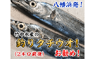 竹中水産の「釣の太刀魚」　約2キロ!＜F22-264＞_太刀魚 たちうお 天然 魚介 魚介類 海鮮 冷蔵 愛媛 八幡浜 産直 産地直送 国産 おかず おつまみ 鮮魚 希少 刺身 釣 【1078740】 YWTM082