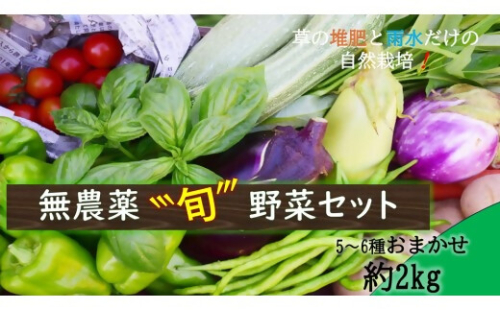 【無農薬セット】草の堆肥と雨水だけの自然栽培で育てた旬の固定種野菜セット　【TSN-01】 2616272 - 三重県多気町