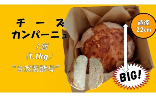 自家製天然酵母を使ったチーズカンパーニュ　【HTR-02】 2616273 - 三重県多気町