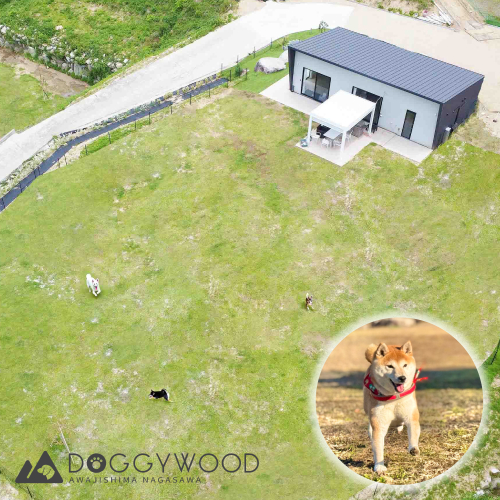 淡路島で愛犬と泊まれる宿＜DOGGYWOOD＞で使える宿泊ご優待券10,000円分 2616276 - 兵庫県淡路市