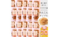 れんこんチップス 30g×20袋セット【1735731】