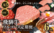 飛騨牛全部楽しめる 飛騨牛フルコース定期便 定期便 6回 6ヶ月|定期便 飛騨牛 牛肉 お肉 希少部位 定期便 飛騨牛 牛肉 お肉 希少部位 定期便 飛騨牛 牛肉 希少部位 定期便 飛騨牛 牛肉 希少部位 定期便 飛騨牛 牛肉 希少部位 国産 焼き肉 焼肉 切り落とし すき焼き しゃぶしゃぶ サーロイン ヒレ シャトーブリアン ステーキ 170000円 17万円 中部ミート 岐阜県 大垣市