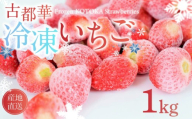 冷凍いちご 約1kg 古都華 ことか 約500g×2袋 いちご 冷凍イチゴ 数量限定 ブランド 苺 フルーツ 果物 国産 ベリー 冷凍 旬 産地直送 フルーツ 果物 小分け 国産 厳選 新鮮 甘い 美味しい プレゼント ギフト お歳暮 奈良市 奈良県 いちご農家 だるま