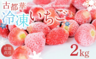 冷凍いちご 約2kg 古都華 ことか 約500g×4袋 いちご 冷凍イチゴ 数量限定 ブランド 苺 フルーツ 果物 国産 ベリー 冷凍 旬 産地直送 フルーツ 果物 小分け 国産 厳選 新鮮 甘い 美味しい プレゼント ギフト お歳暮 奈良市 奈良県 いちご農家 だるま